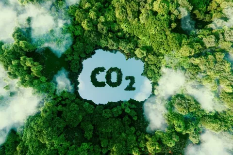 Ein grünes Waldstück von oben mit einem See in der Mitte, in dem das Wort CO2 steht.